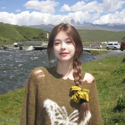 最后的兵团